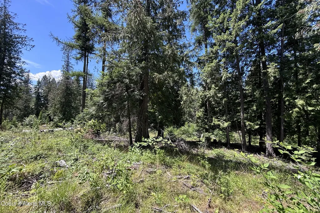 Lot 6 White Cloud Drive Sandpoint ID 83864