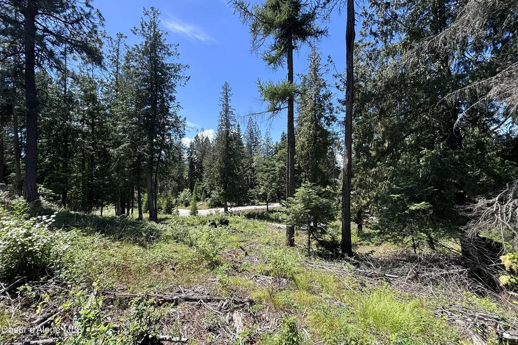 Lot 6 White Cloud Drive Sandpoint ID 83864