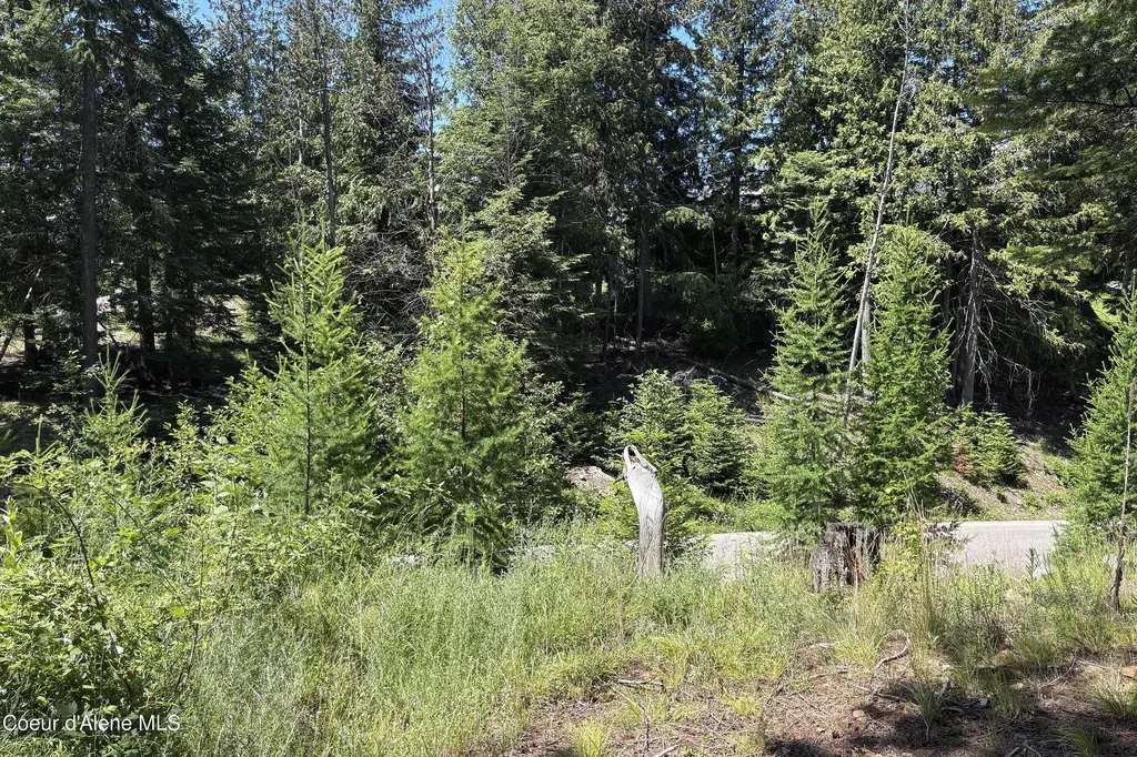 Lot 6 White Cloud Drive Sandpoint ID 83864