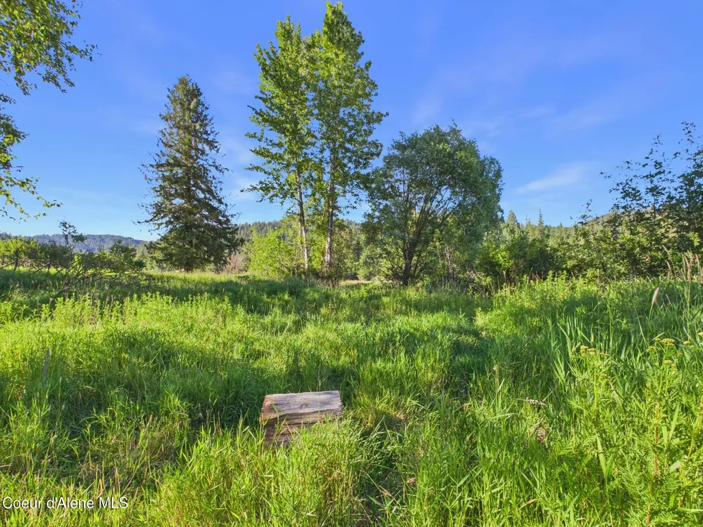 9848 S Fern Creek Road Cataldo ID 83810