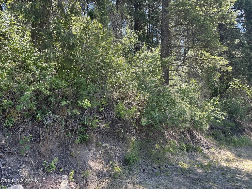 1303 W Steamboat Drive Coeur D'alene ID 83814