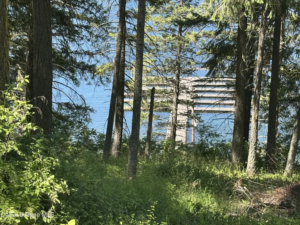 1303 W Steamboat Drive Coeur D'alene ID 83814