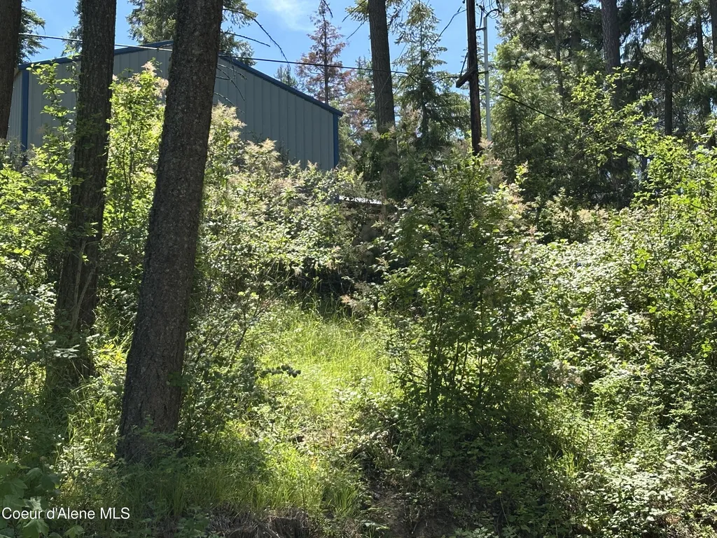 1303 W Steamboat Drive Coeur D'alene ID 83814