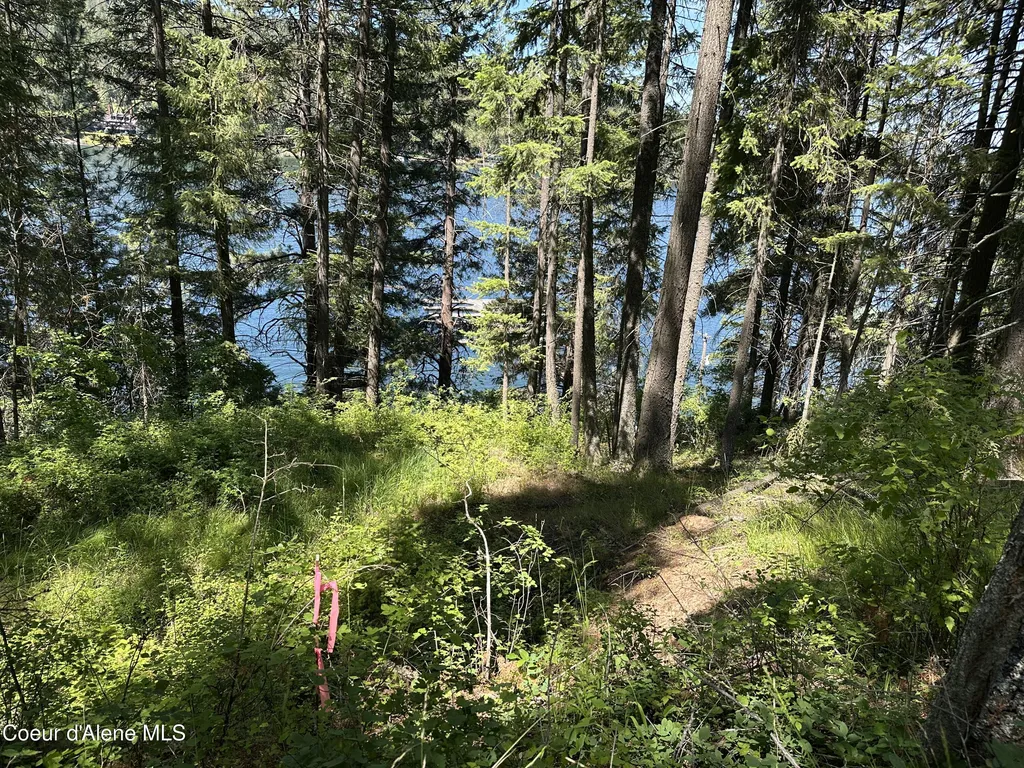 1303 W Steamboat Drive Coeur D'alene ID 83814