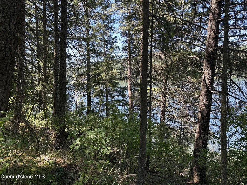 1303 W Steamboat Drive Coeur D'alene ID 83814