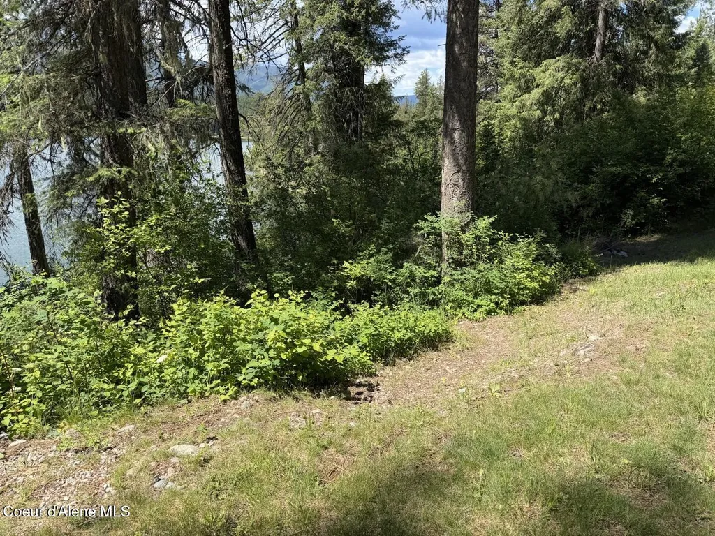 7 Bridge View Lane Heron MT 59844
