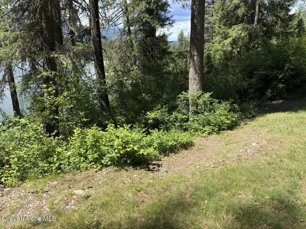 7 Bridge View Lane Heron MT 59844