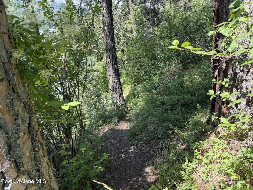 7 Bridge View Lane Heron MT 59844