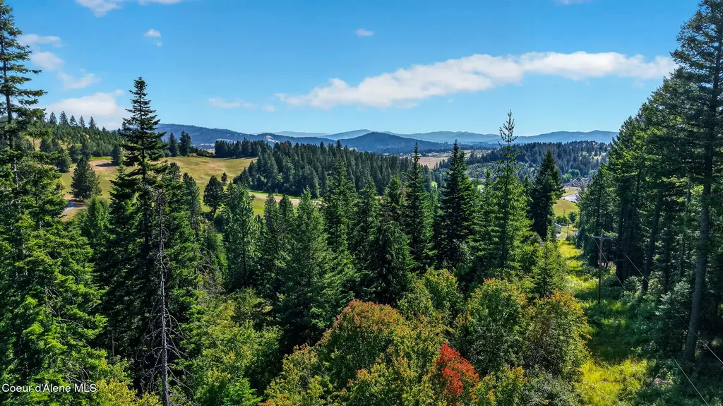 13227 W Elder Road Worley ID 83876