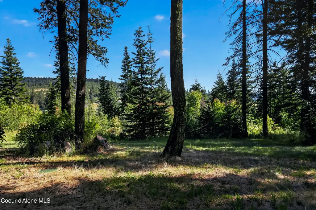 13227 W Elder Road Worley ID 83876