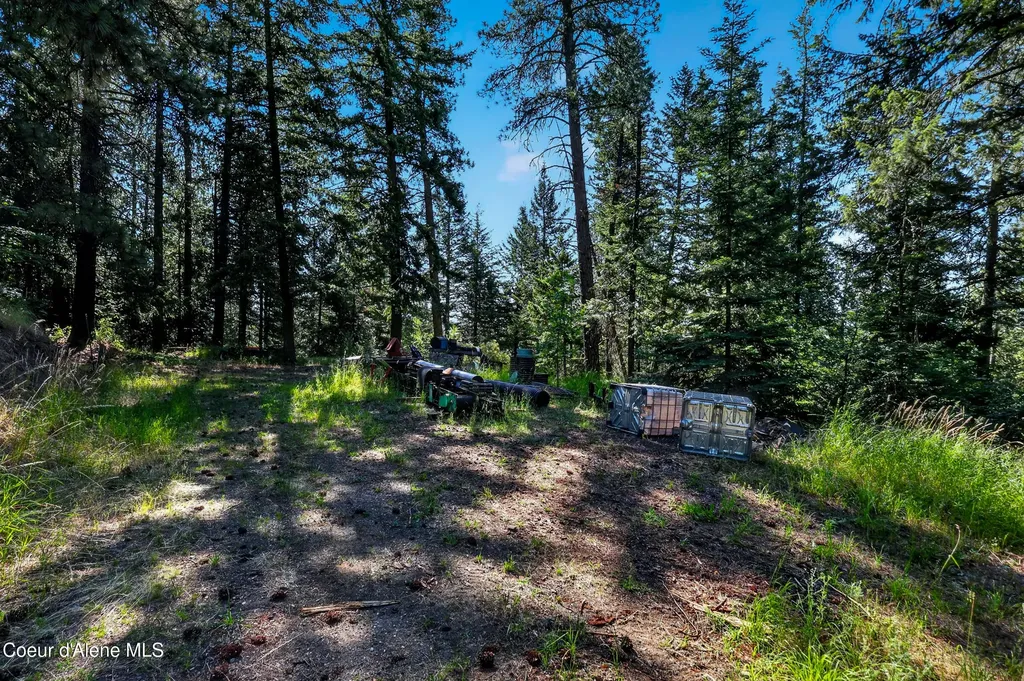 13227 W Elder Road Worley ID 83876
