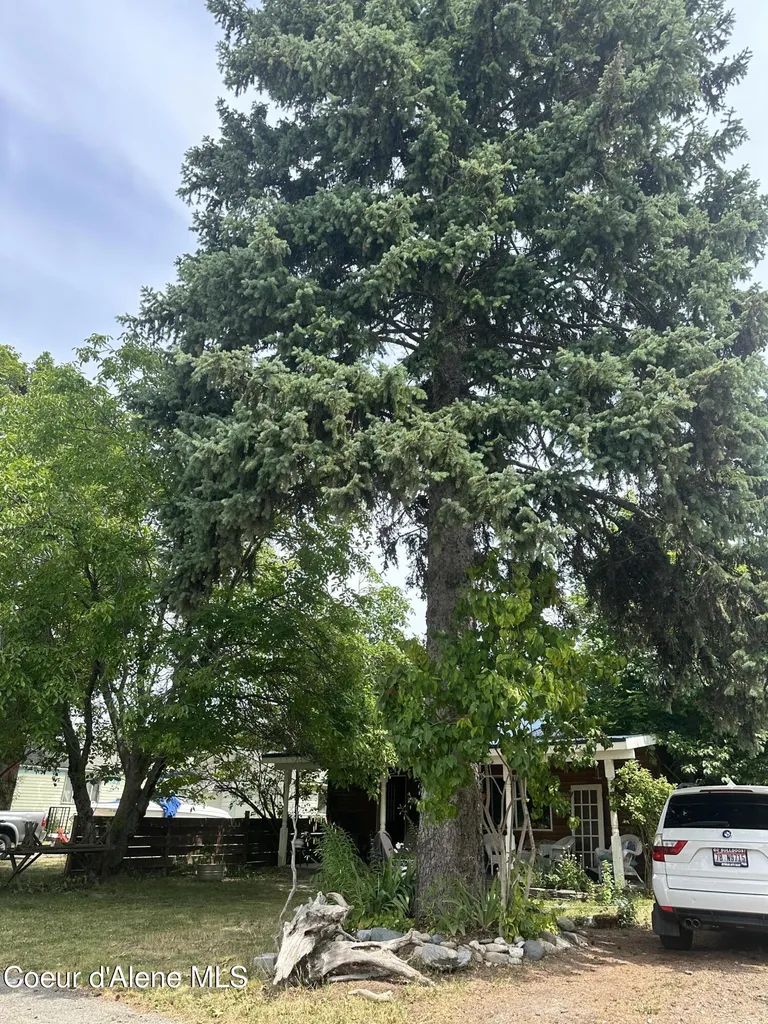 329 S Florence Avenue Sandpoint ID 83864