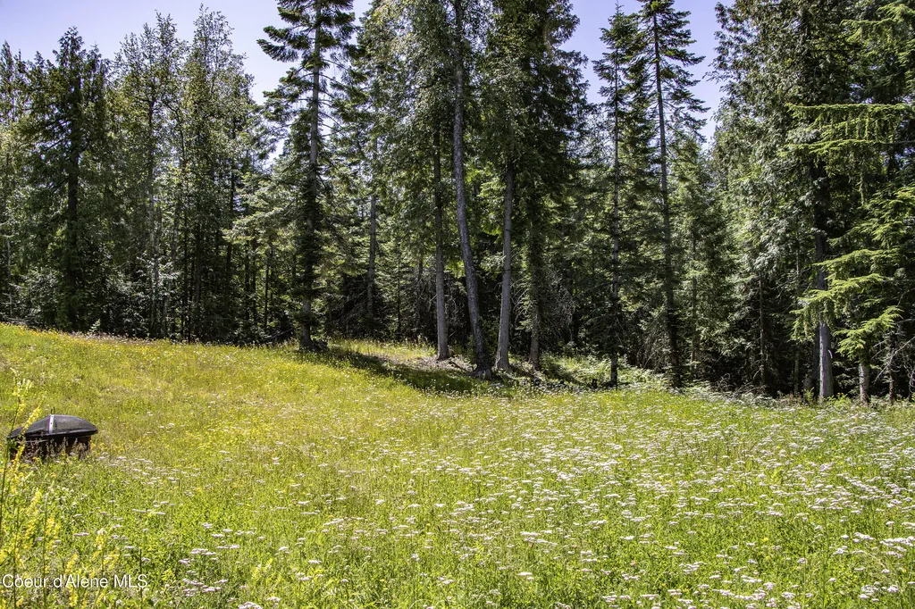 1261 Michael Lane Sandpoint ID 83864
