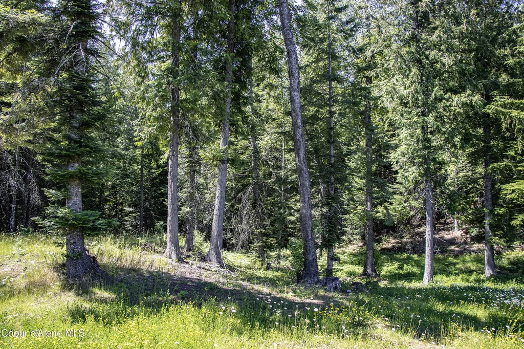 1261 Michael Lane Sandpoint ID 83864