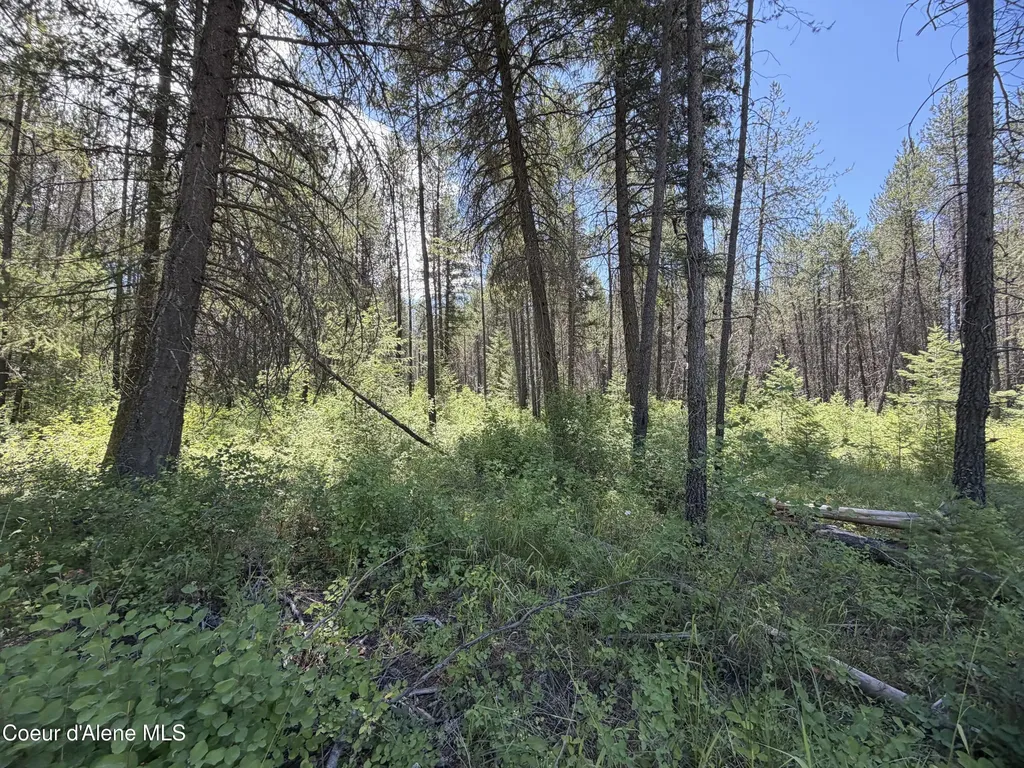 46 Ares Way Priest River ID 83856