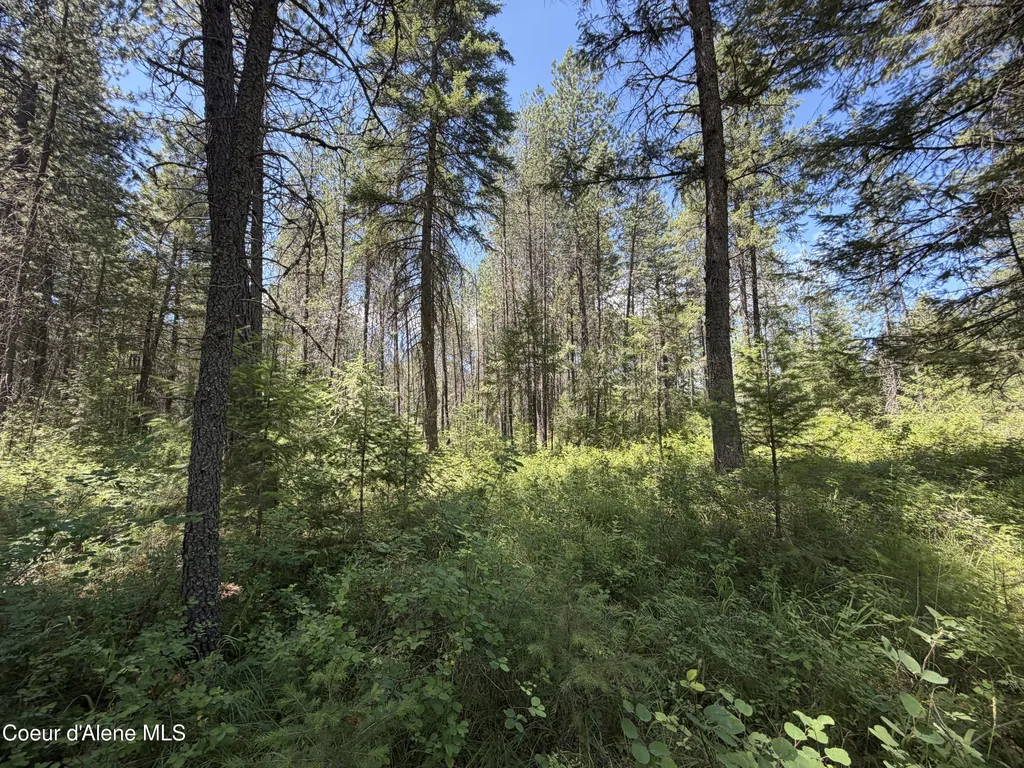 46 Ares Way Priest River ID 83856