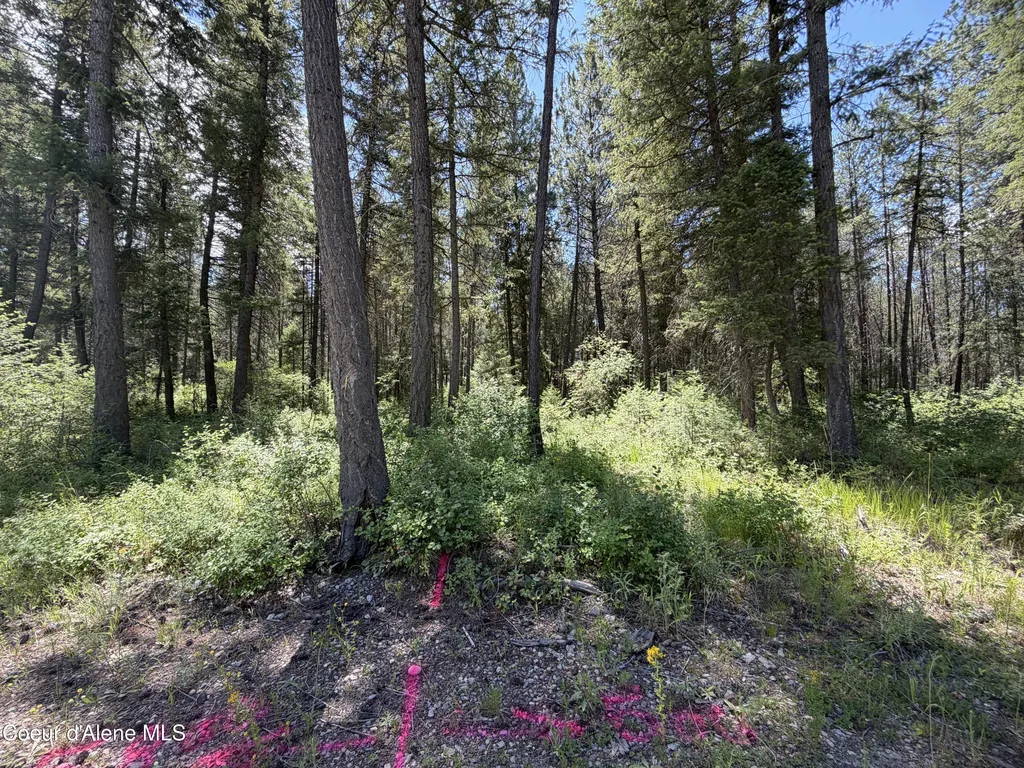 46 Ares Way Priest River ID 83856