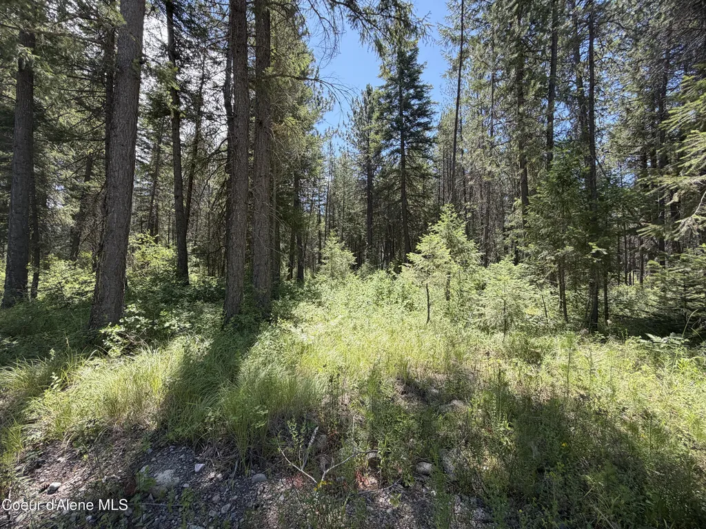 46 Ares Way Priest River ID 83856