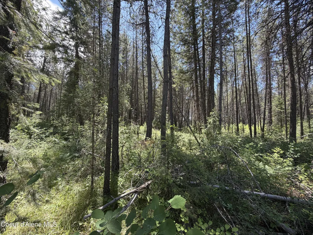 46 Ares Way Priest River ID 83856