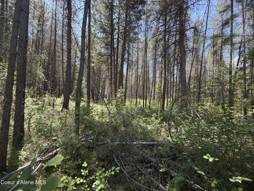46 Ares Way Priest River ID 83856