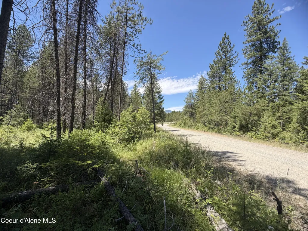 46 Ares Way Priest River ID 83856