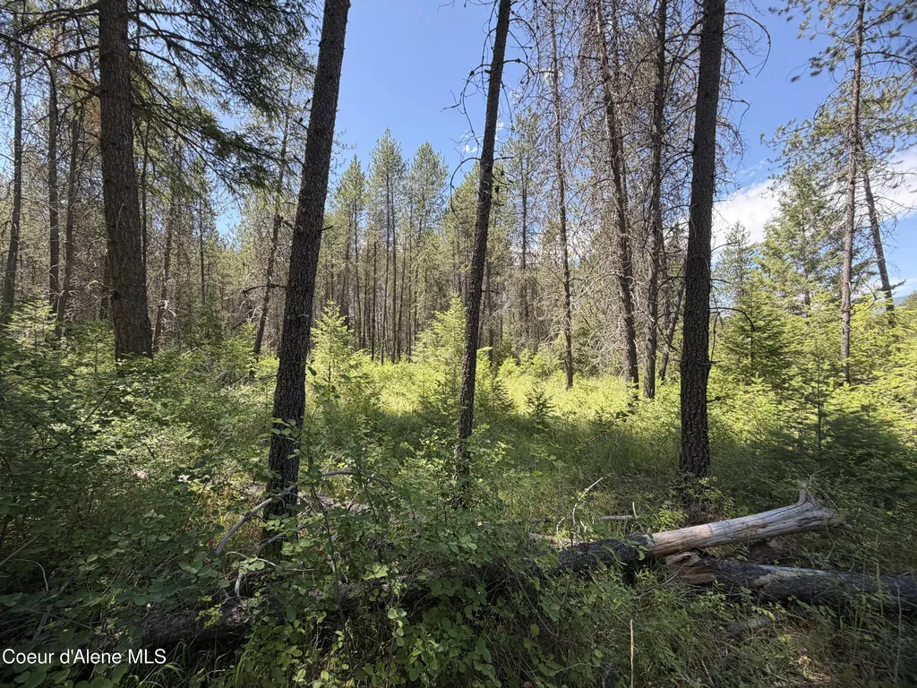 46 Ares Way Priest River ID 83856
