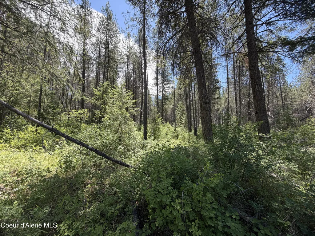46 Ares Way Priest River ID 83856