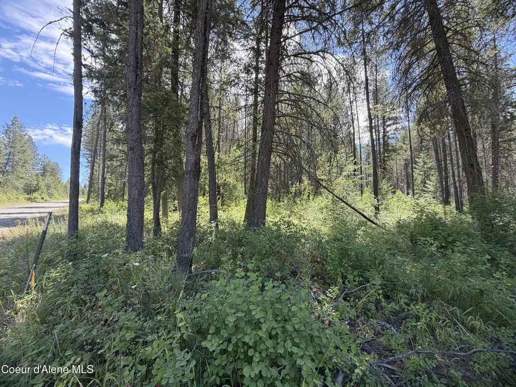 46 Ares Way Priest River ID 83856