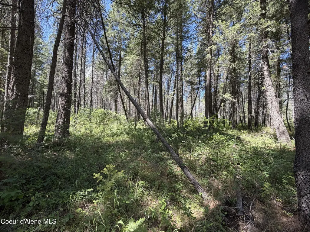 46 Ares Way Priest River ID 83856