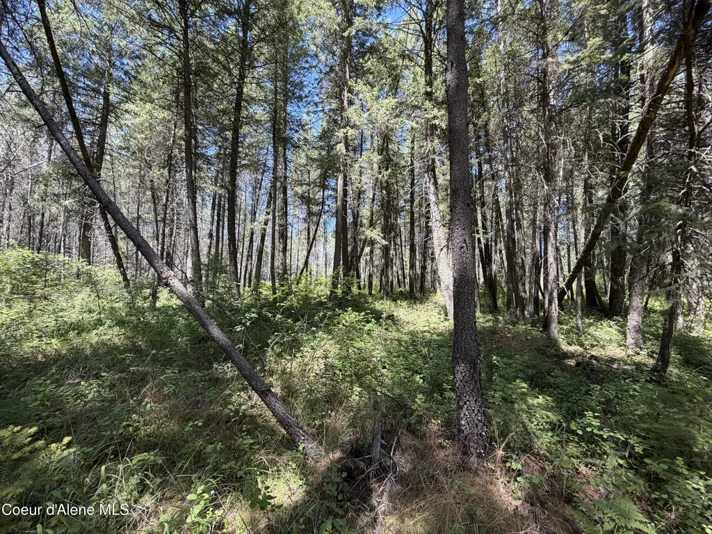 46 Ares Way Priest River ID 83856
