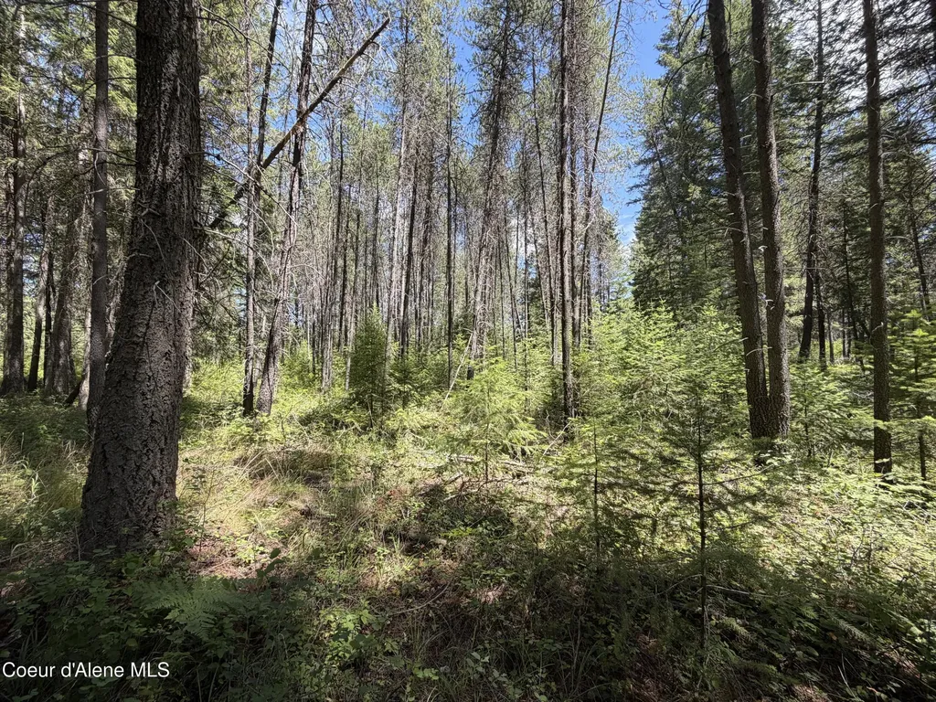 46 Ares Way Priest River ID 83856