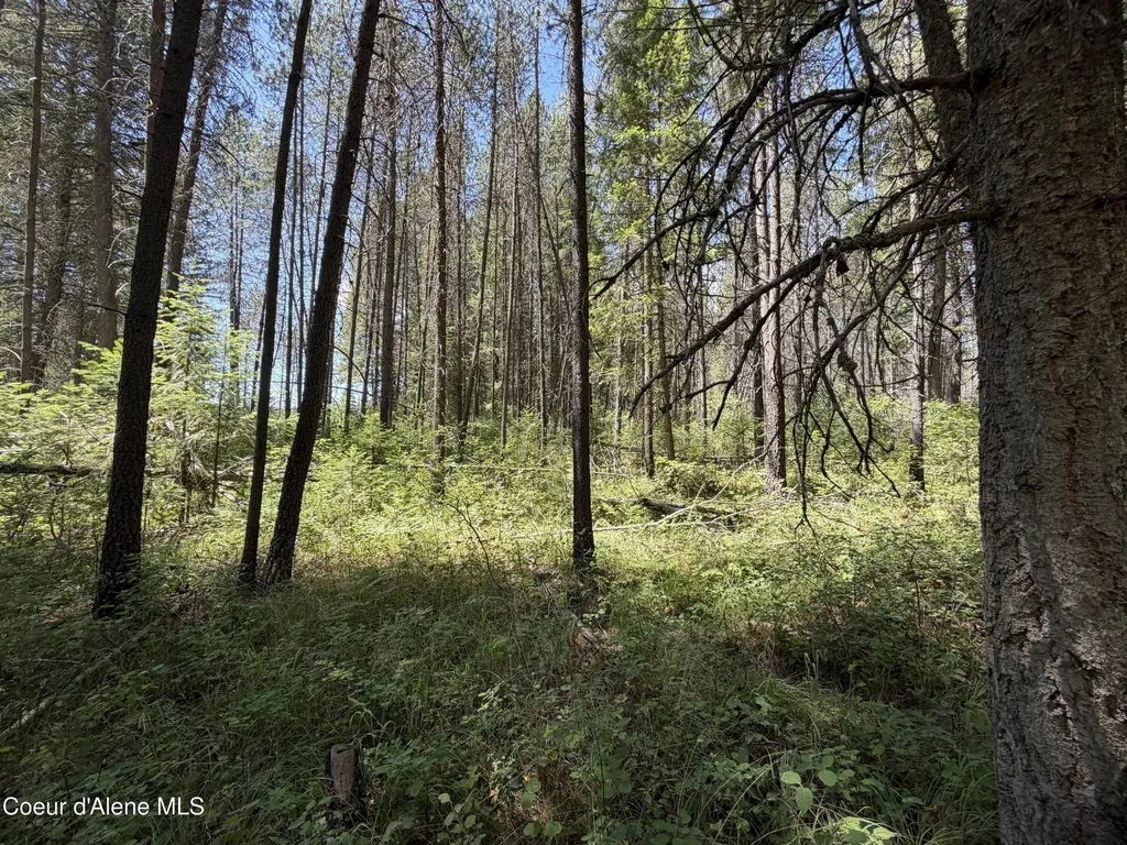46 Ares Way Priest River ID 83856
