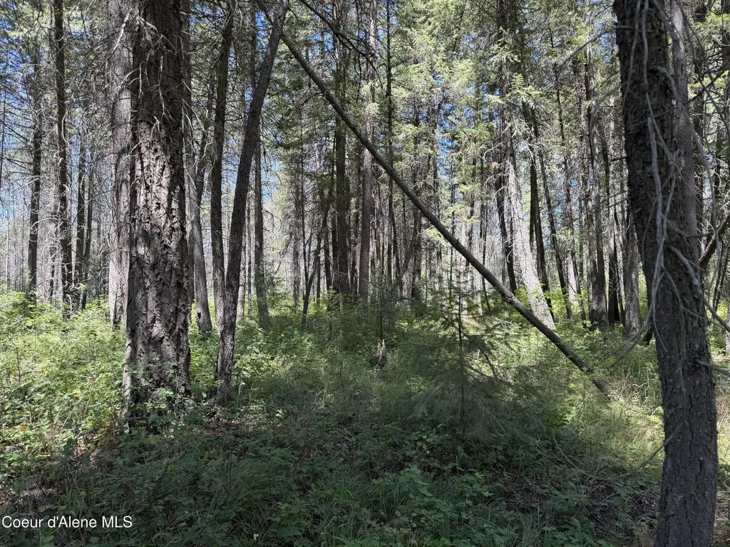 46 Ares Way Priest River ID 83856