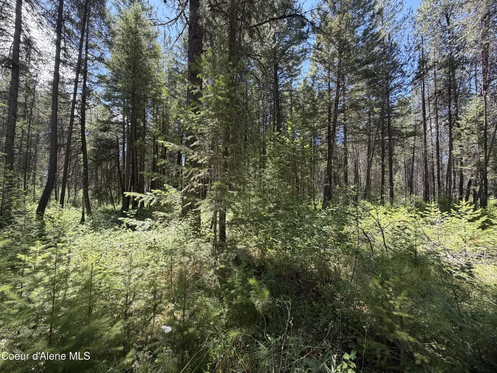 46 Ares Way Priest River ID 83856