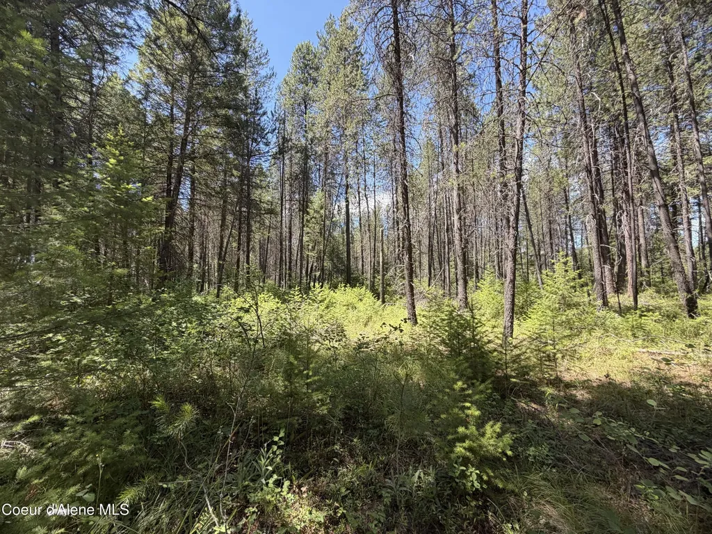 46 Ares Way Priest River ID 83856