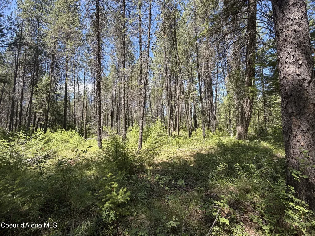 46 Ares Way Priest River ID 83856