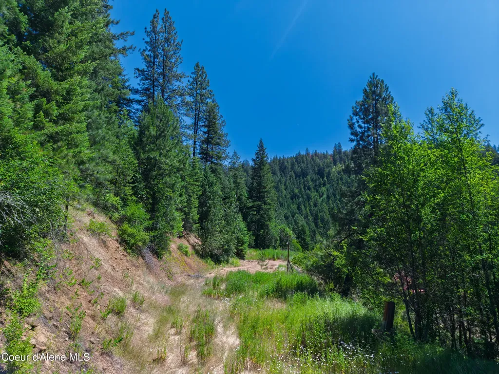 999 Cherry Creek Road St. Maries ID 83861