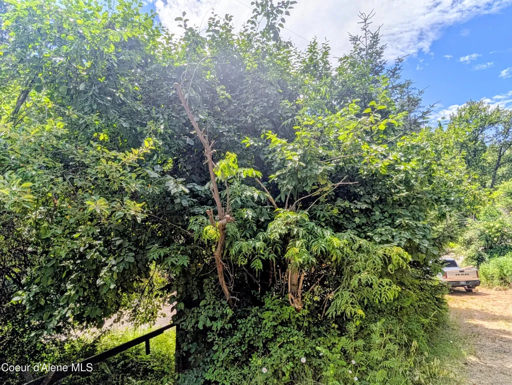 999 Cherry Creek Road St. Maries ID 83861
