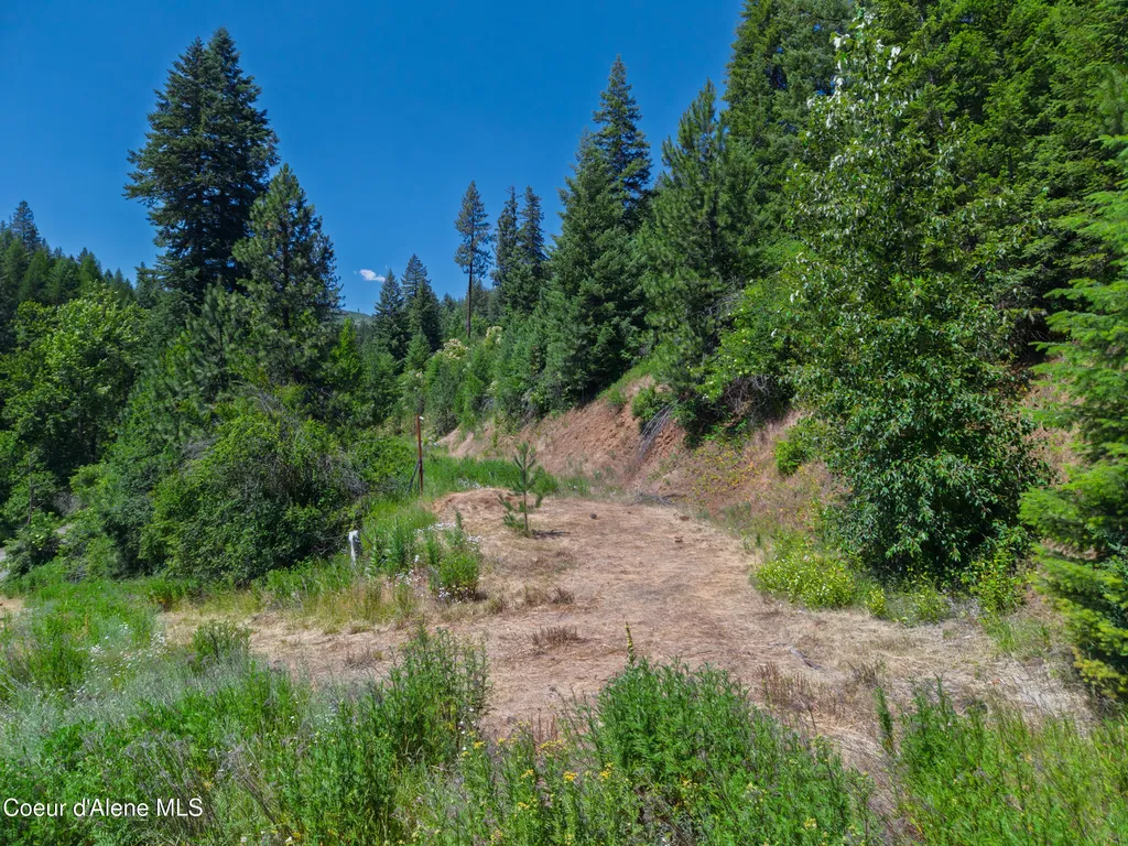 999 Cherry Creek Road St. Maries ID 83861
