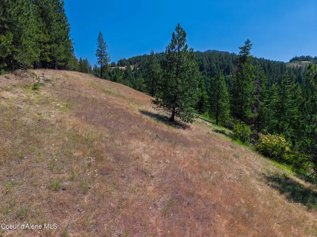 999 Cherry Creek Road St. Maries ID 83861