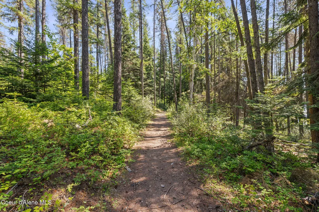 353 Creekside Drive Priest Lake ID 83856