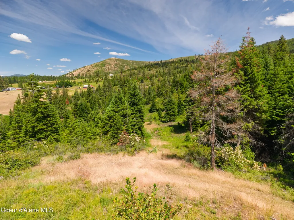 2321 Echo Springs Road St. Maries ID 83861