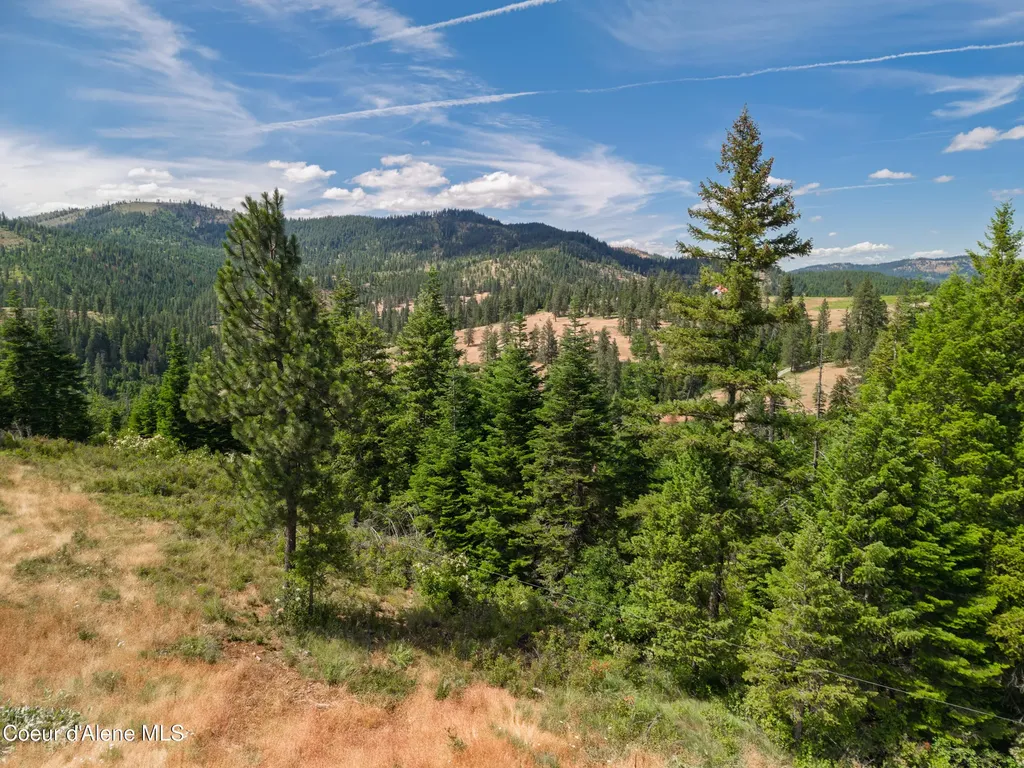 2321 Echo Springs Road St. Maries ID 83861