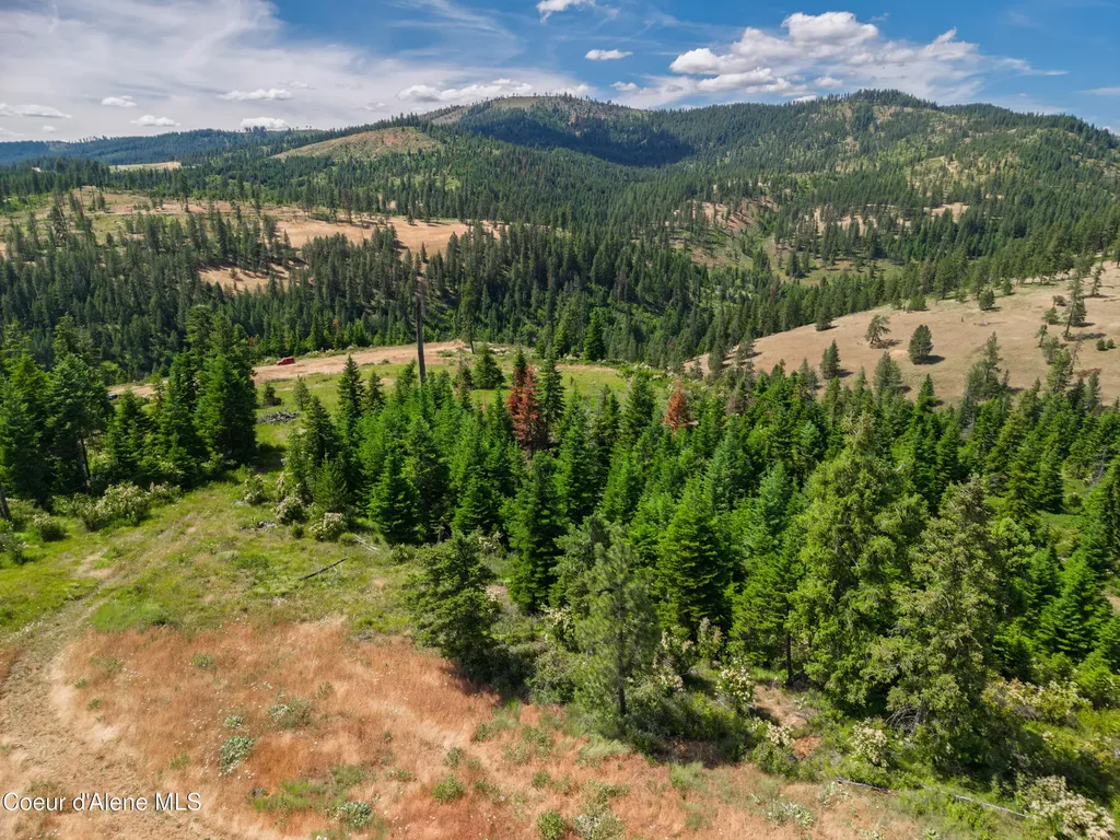 2321 Echo Springs Road St. Maries ID 83861