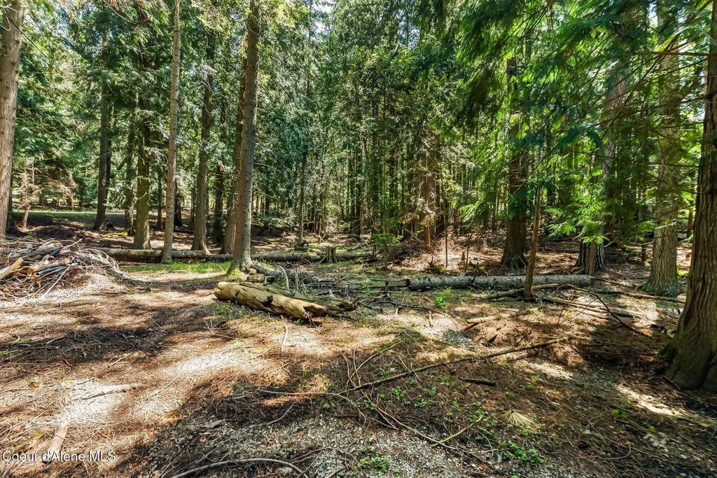 235 Kiebert Loop Hope ID 83836
