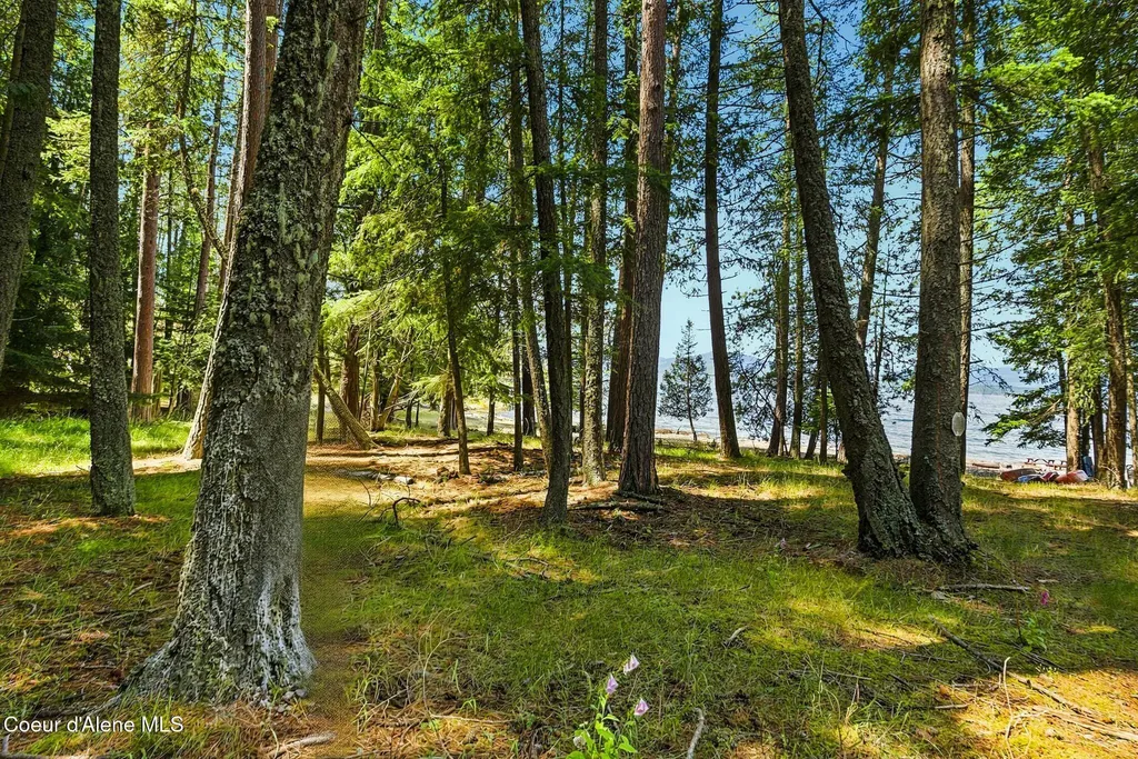 235 Kiebert Loop Hope ID 83836