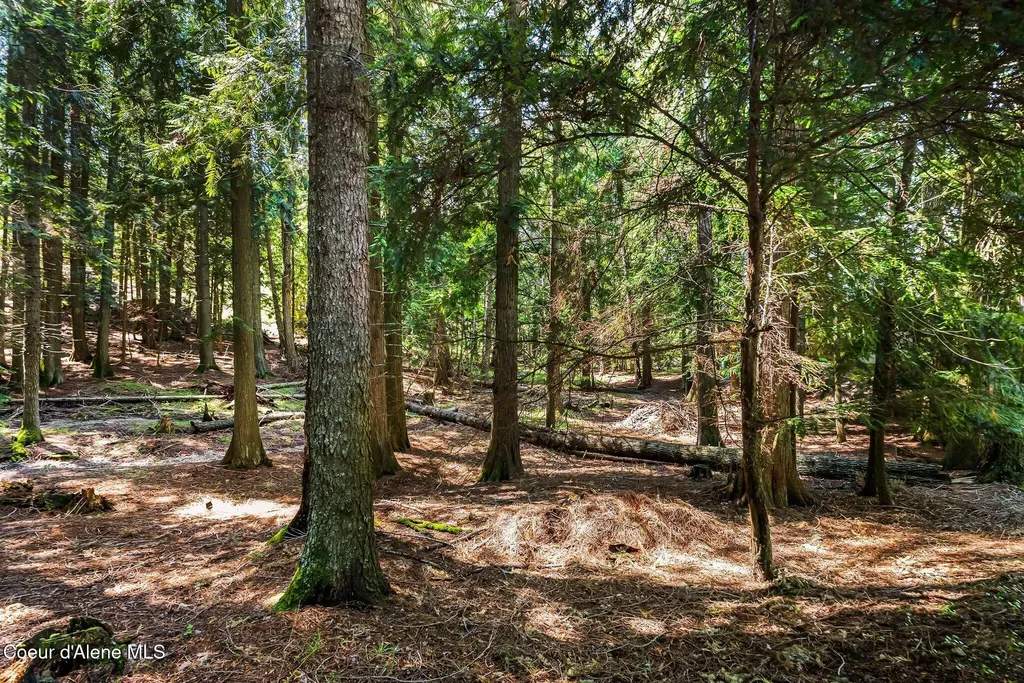 235 Kiebert Loop Hope ID 83836