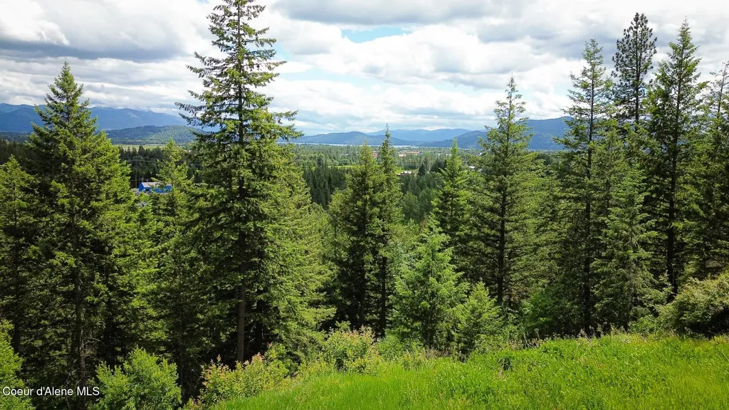 542 Granite Rdg Drive Sandpoint ID 83864