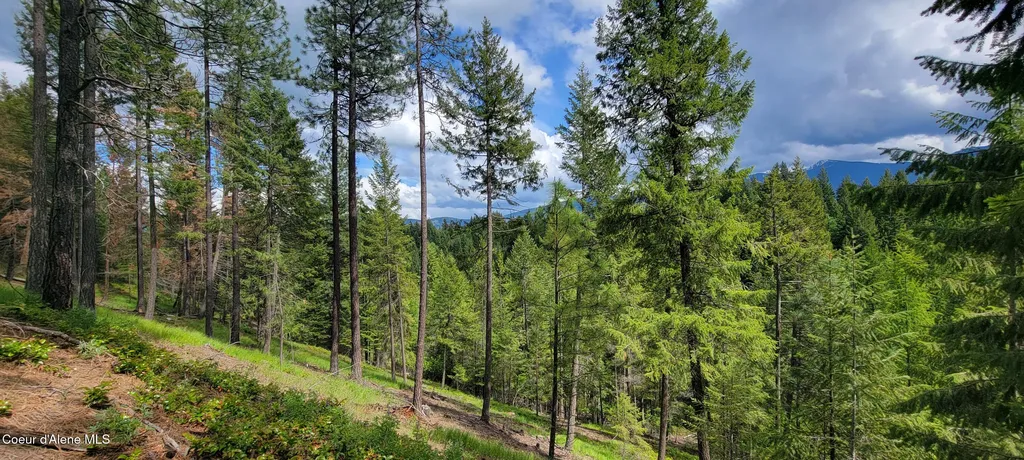 492 Stellar Jay Road Bonners Ferry ID 83805