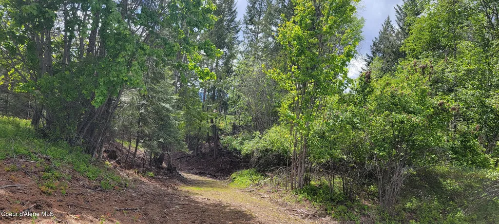 492 Stellar Jay Road Bonners Ferry ID 83805